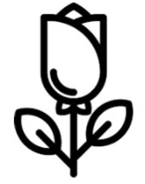 03 White Rose Icon
